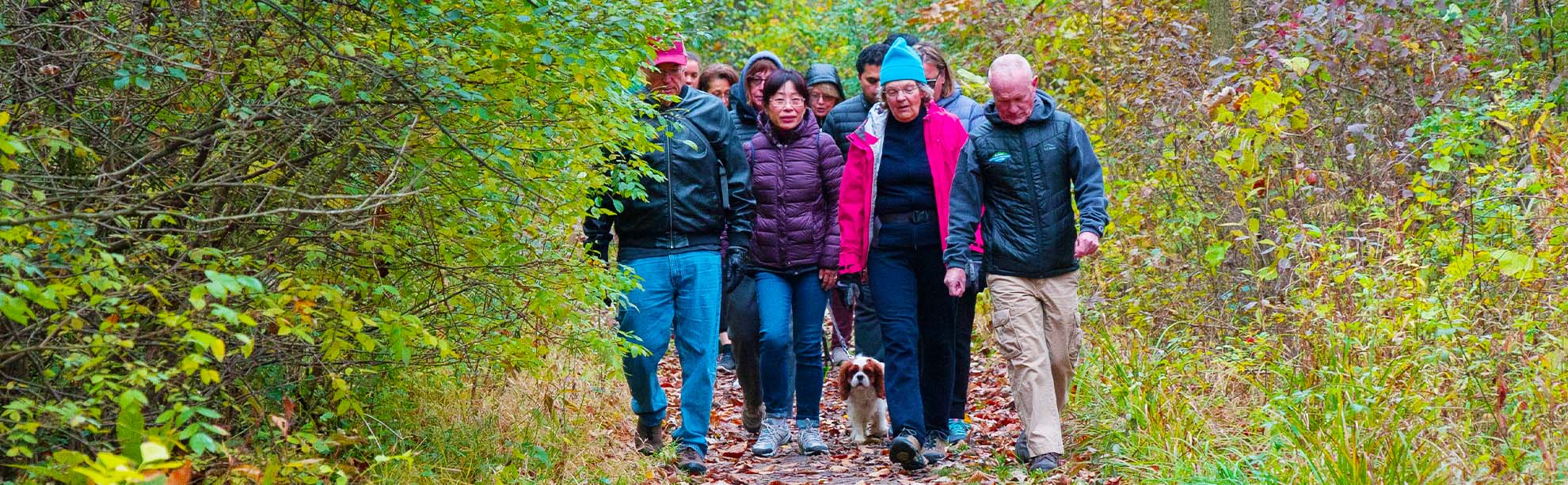 A group of people walking on the trail with their dog.