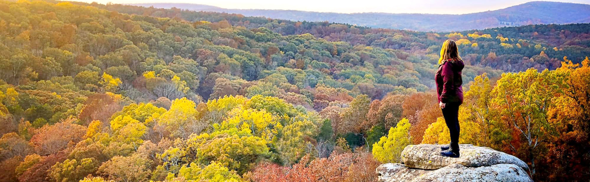 A view of trees in the fall colors from above.